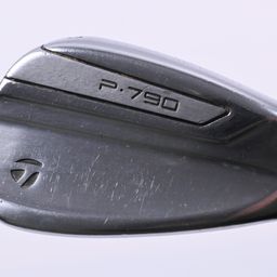 P790 2019 Wedge