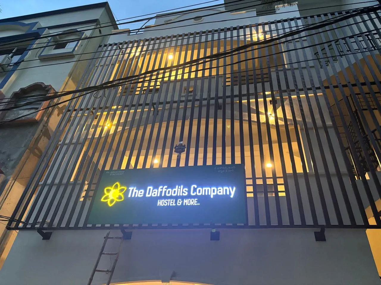 The Daffodils Company