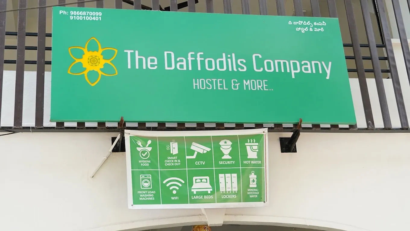 The Daffodils Company 4