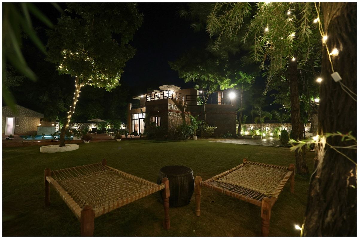 Garden and lawn
