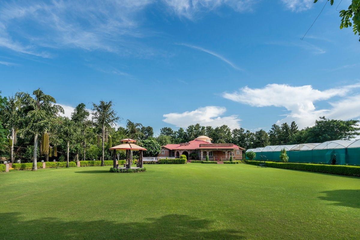 Garden and lawn