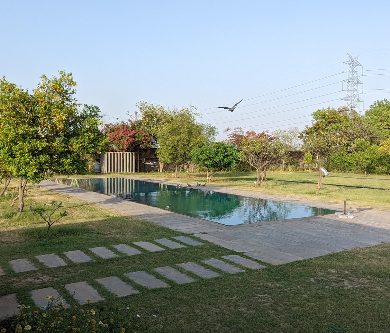 Pool deck