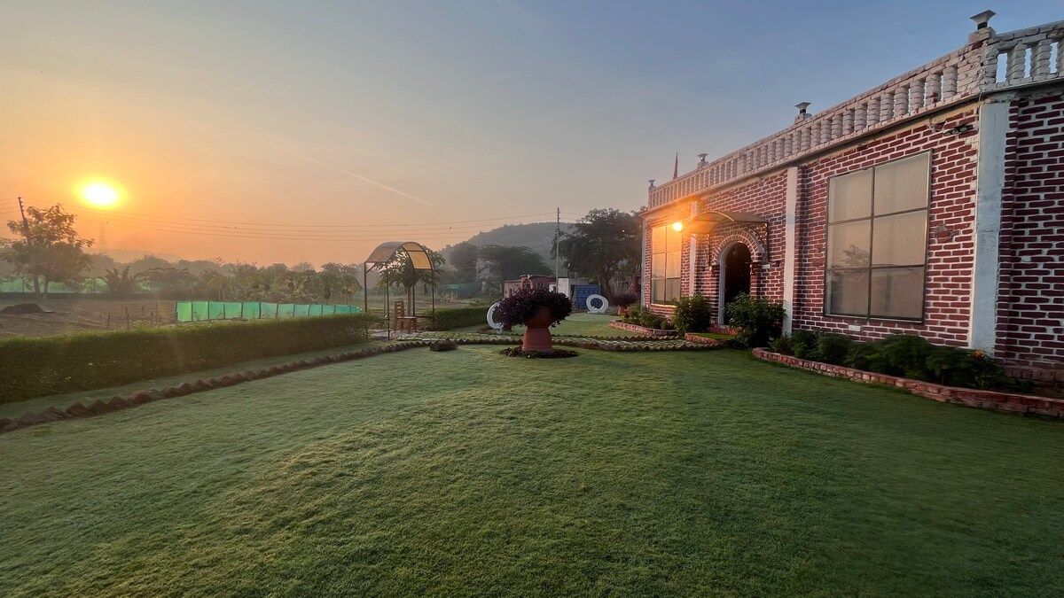Garden and lawn