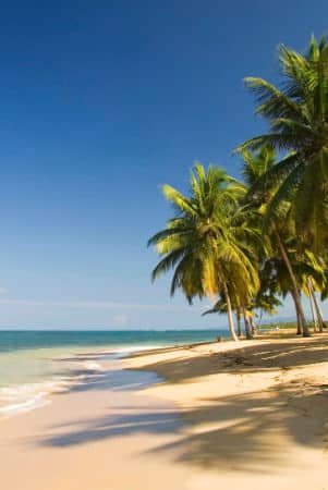 Las mejores playas en las terrenas - samana