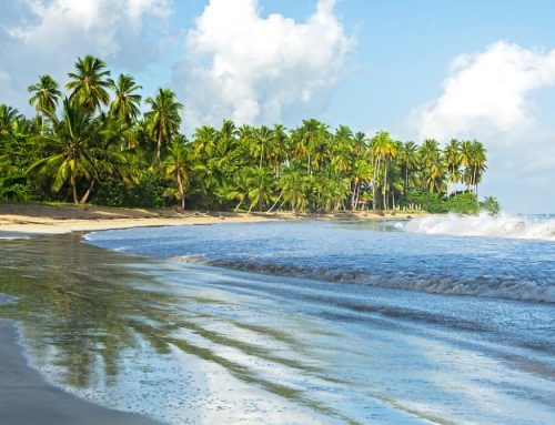 Playa Cosón, the perfect tropical environment.