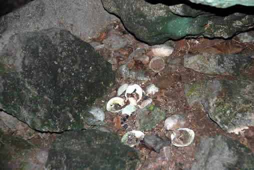 Cave of Las Conchas