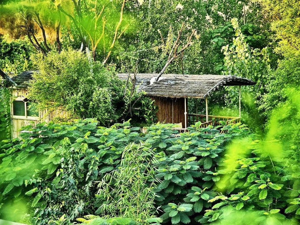 The Tree House Resort | Jaipur photo 2