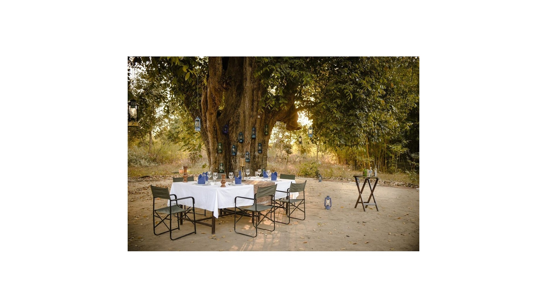 Club Mahindra Bandhavgarh Meadows photo 6