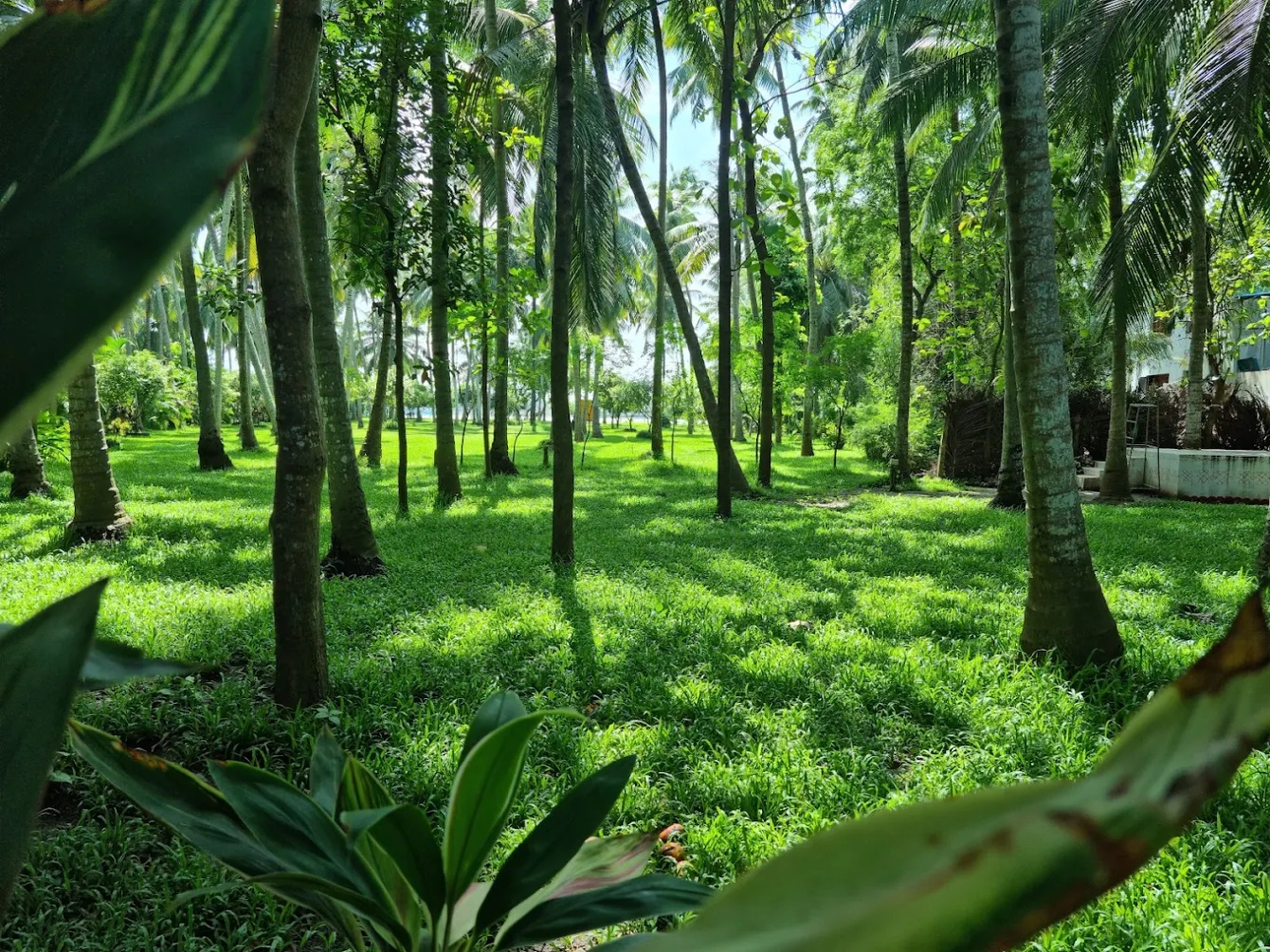 Dindi RVR, on the Godavari, a Club Mahindra Associate Resort in Andhra Pradesh photo 10