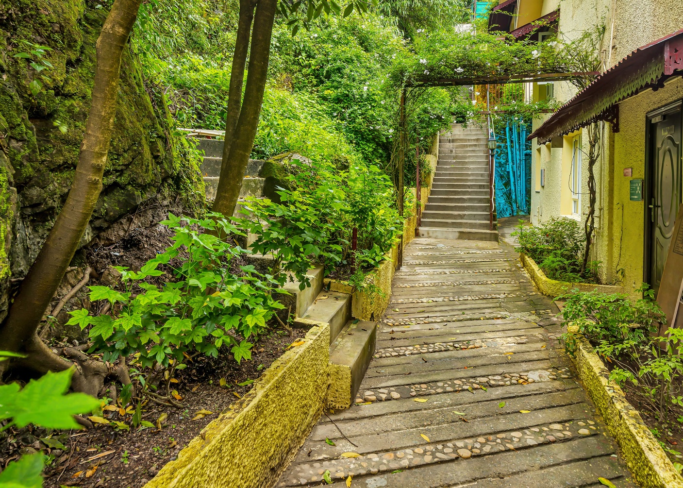 Club Mahindra Mussoorie – Avalon photo 3