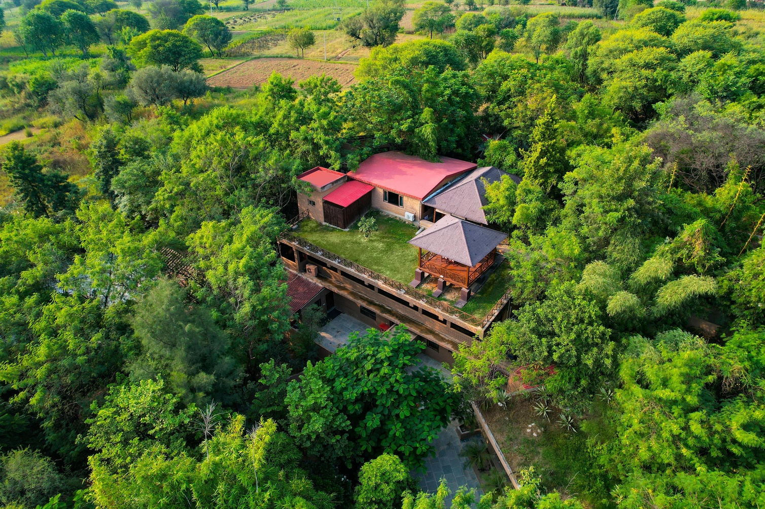 The Tree House Resort | Jaipur photo 11
