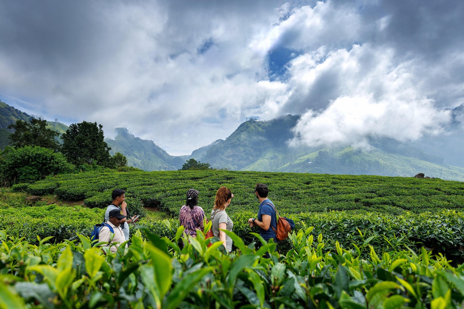 Amber Dale Munnar-Kondody Hotels photo 3