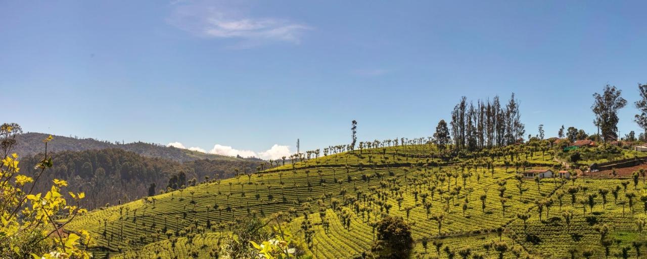 Club Mahindra Resort - Derby Green, Ooty, Tamil Nadu photo 9