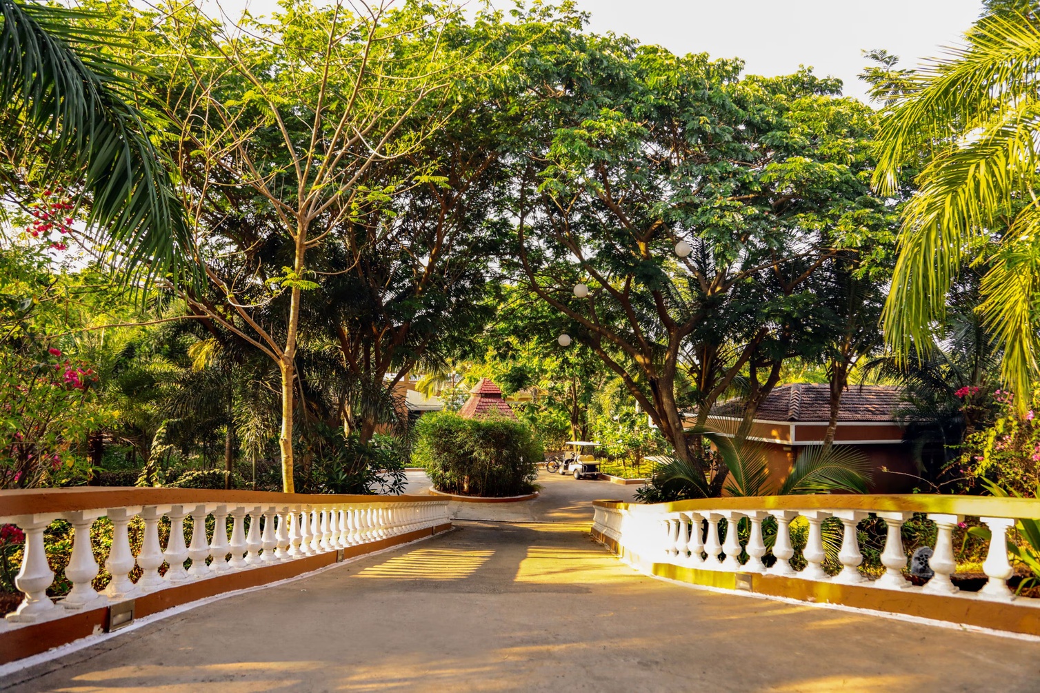 Blue Ocean The Fern Resort & Spa, Ganpatipule photo 11