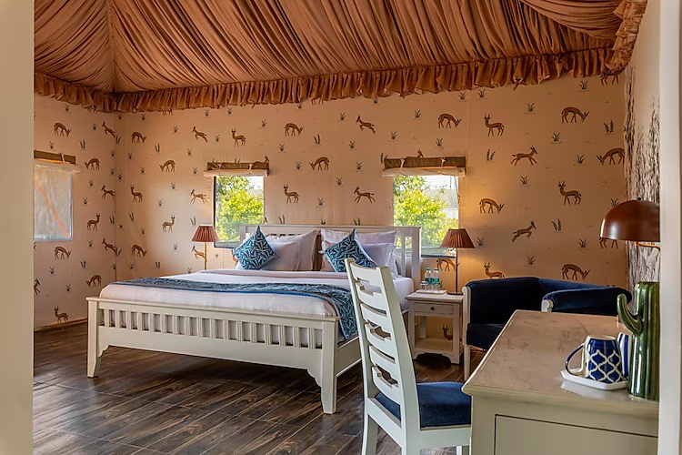 Mountain View Antler Tents With Outdoor Shower and Sit Out at Sterling ReWild Sariska - Photo 1