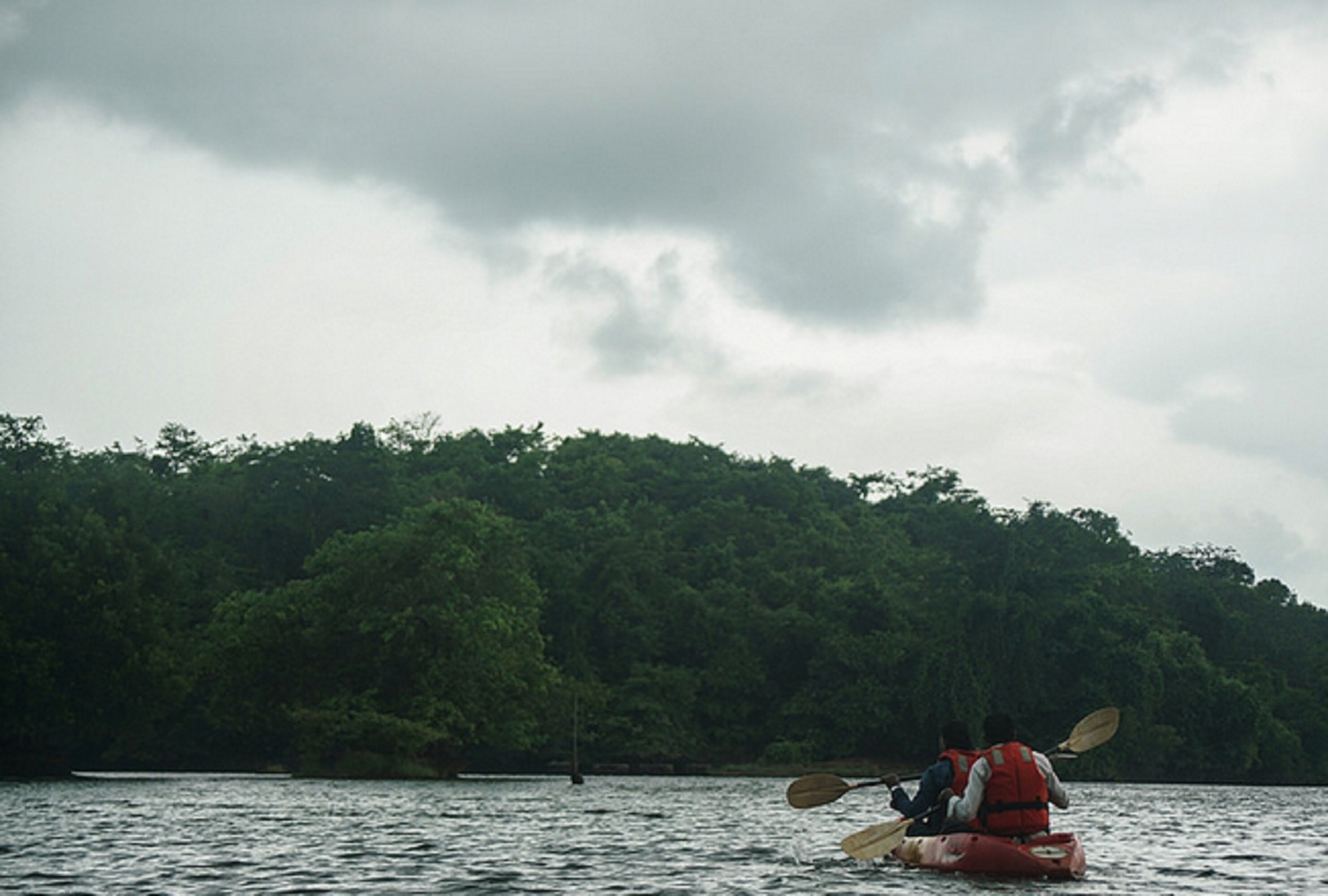 Nature Trails Kundalika, Kolad photo 5