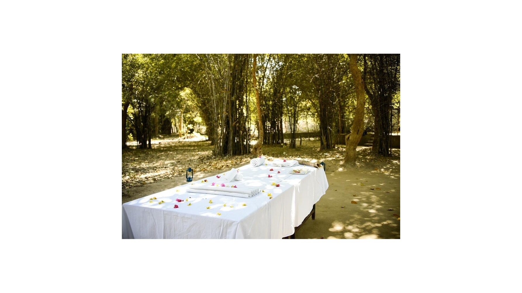 Club Mahindra Bandhavgarh Meadows photo 11