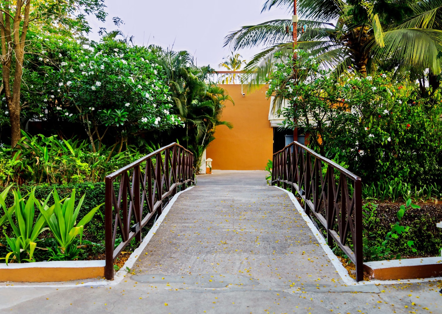 Blue Ocean The Fern Resort & Spa, Ganpatipule photo 6