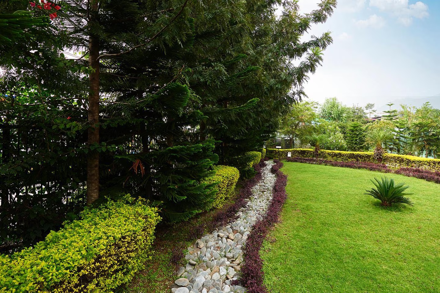 Club Mahindra Resort - Dharamshala, Himachal Pradesh photo 5