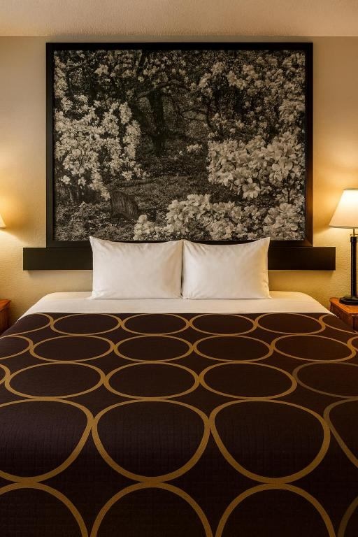 King Room at MHO Hotel Dover - Photo 3