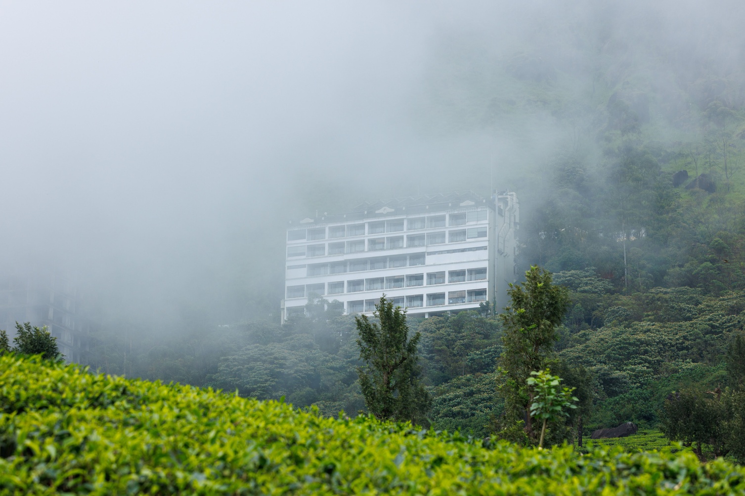 Amber Dale Munnar-Kondody Hotels photo 1