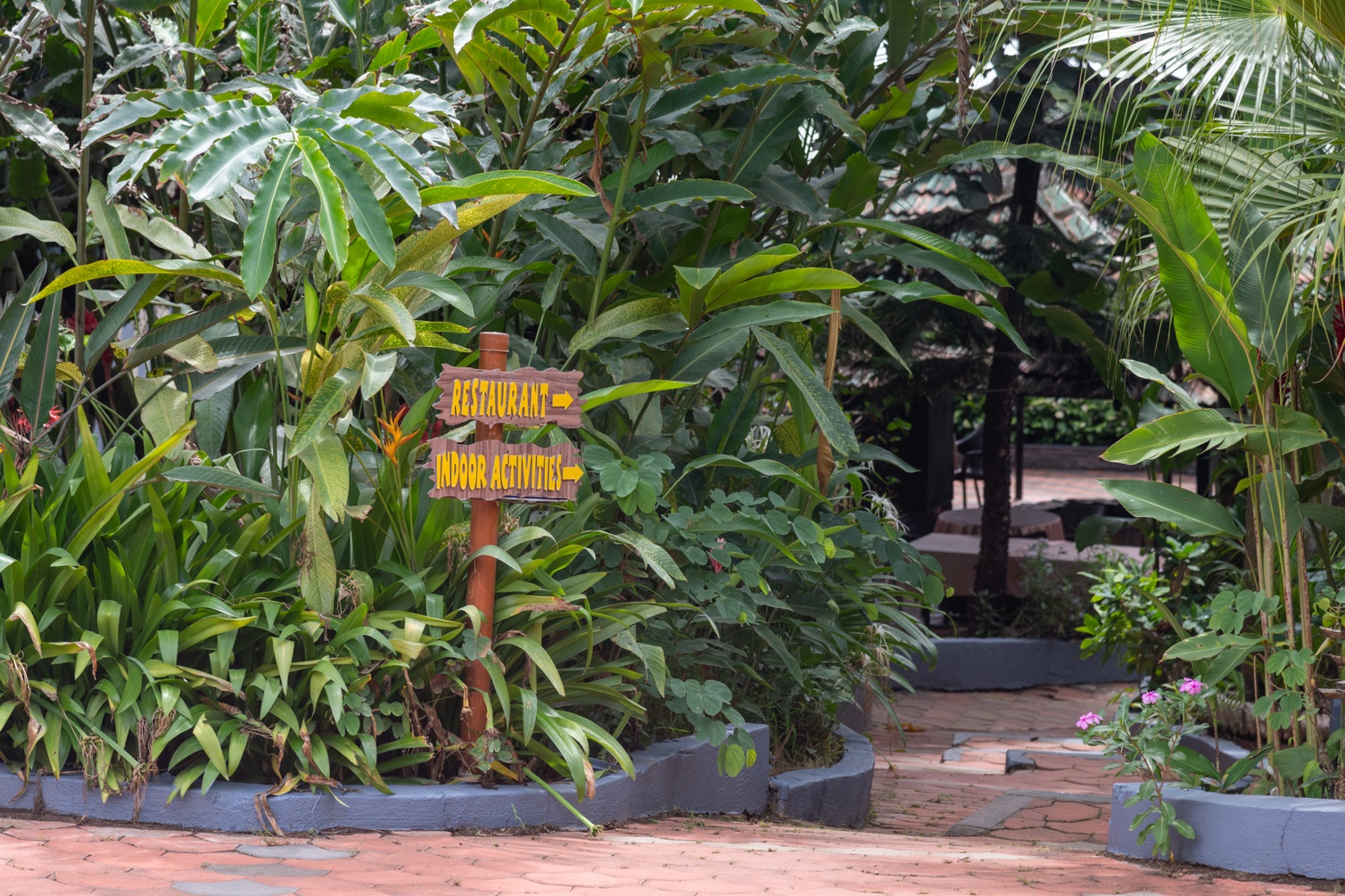 Coorg Jungle Camp Backwater Resort photo 12