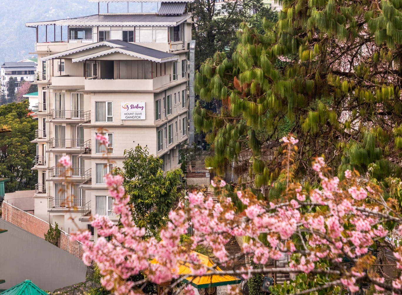 Sterling Mount Olive Gangtok photo 1