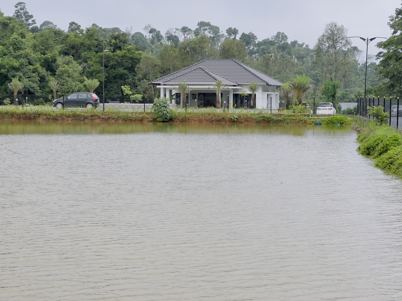 JUNGLE LAKE RESORT photo 9