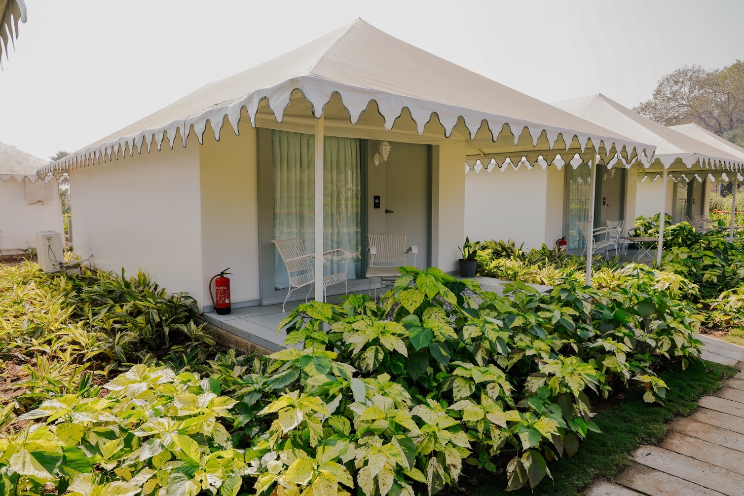 The Fern Seaside Luxurious Tent Resort, Daman photo 9