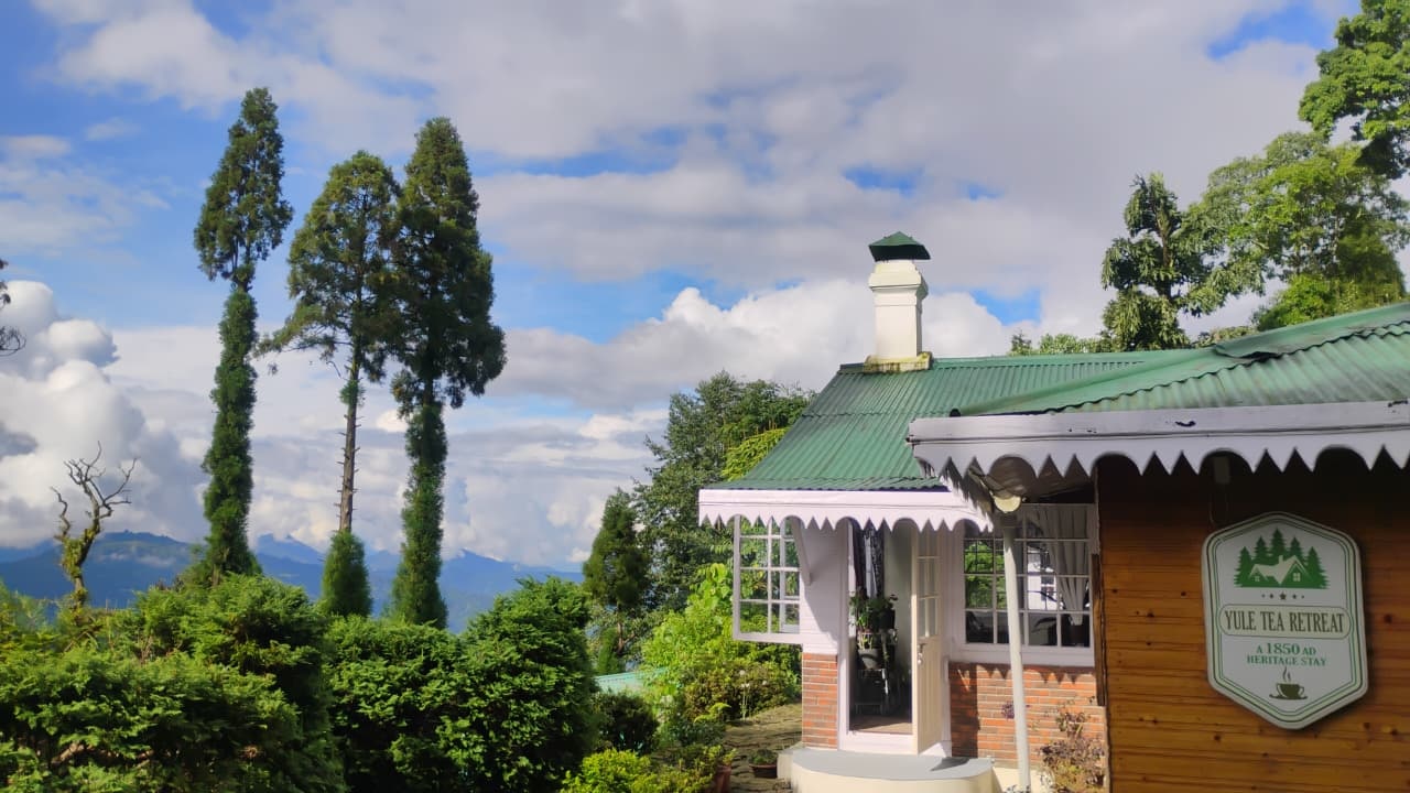 Yule Tea Retreat photo 9