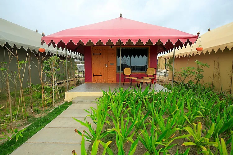 Winter Green Premium Tent at The Fern Seaside Luxurious Tent Resort, Diu - Photo 1