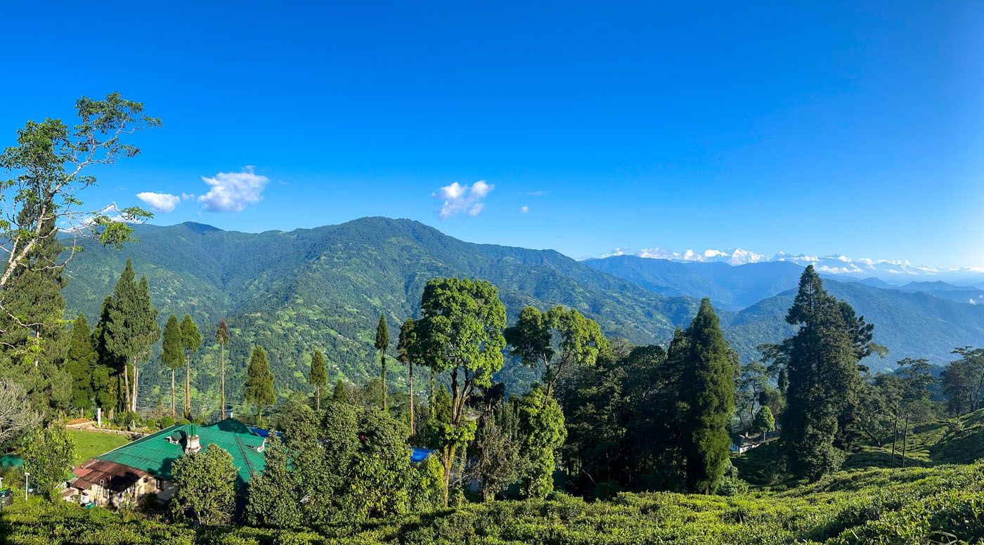 Oolong Comfort Room with Free Wifi at Yule Tea Retreat - Photo 2