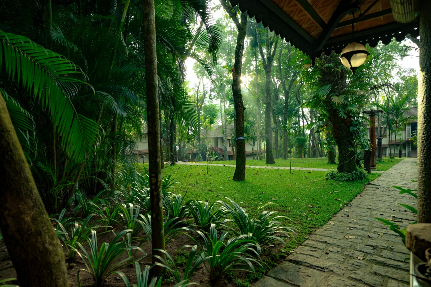 Greenwoods Resort Thekkady - Kondody Hotels photo 6
