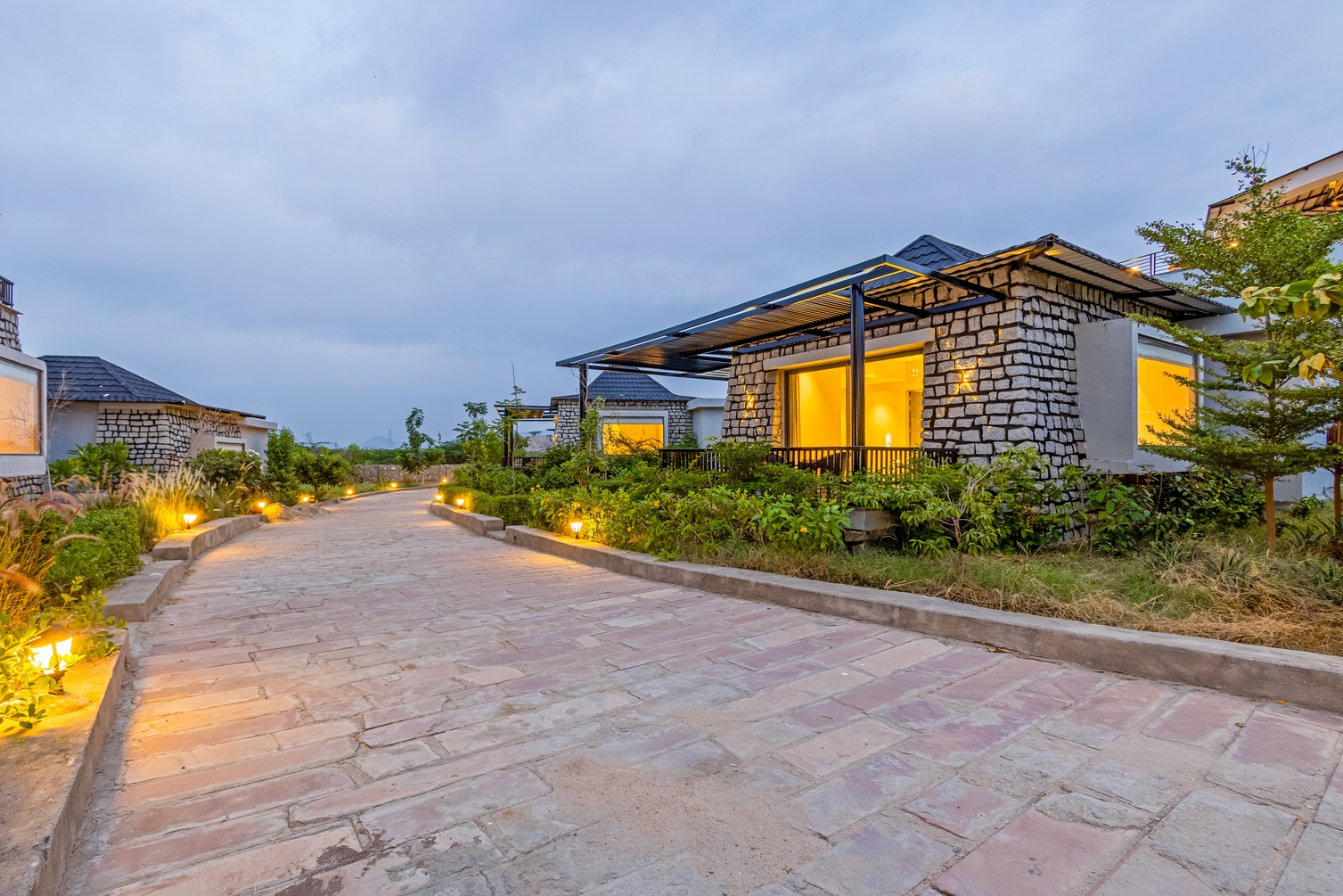 Sterling Leopard Haven Jawai photo 3