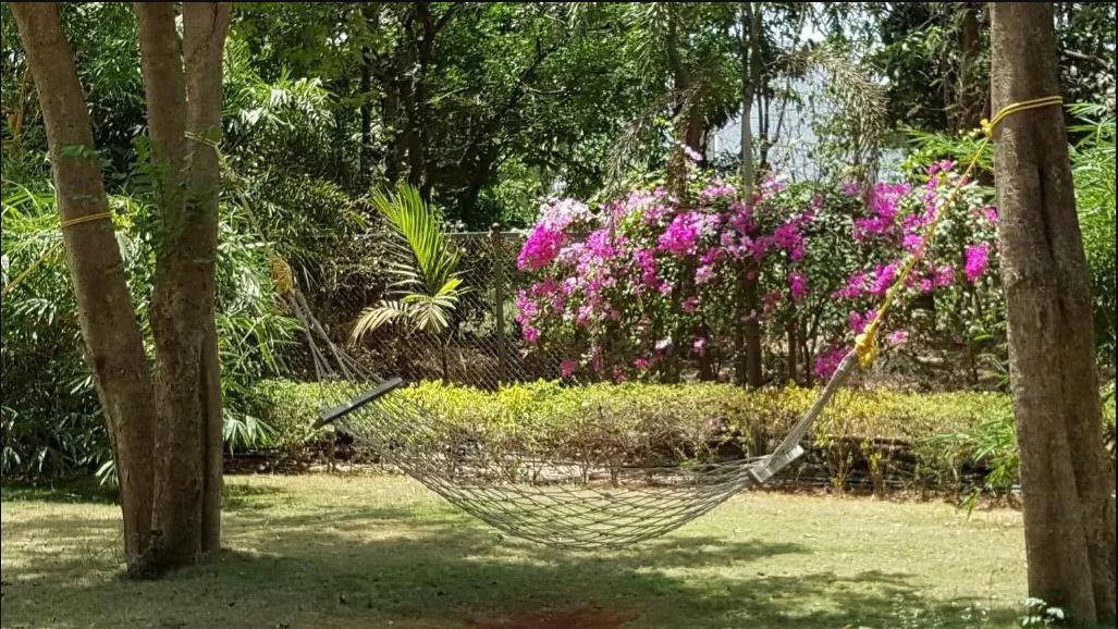 Tropicana Resort & Spa Alibaug photo 8