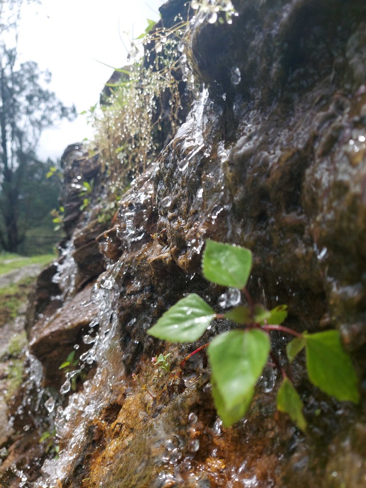 JRS INN, KODAIKANAL photo 9