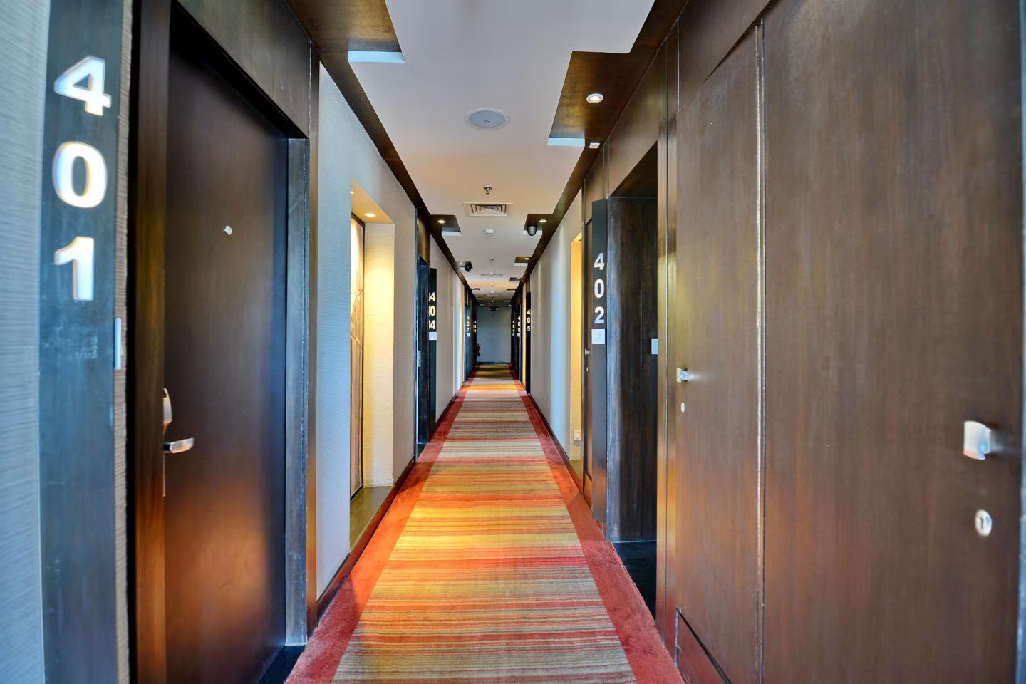 The Fern Residency, Chandigarh photo 12