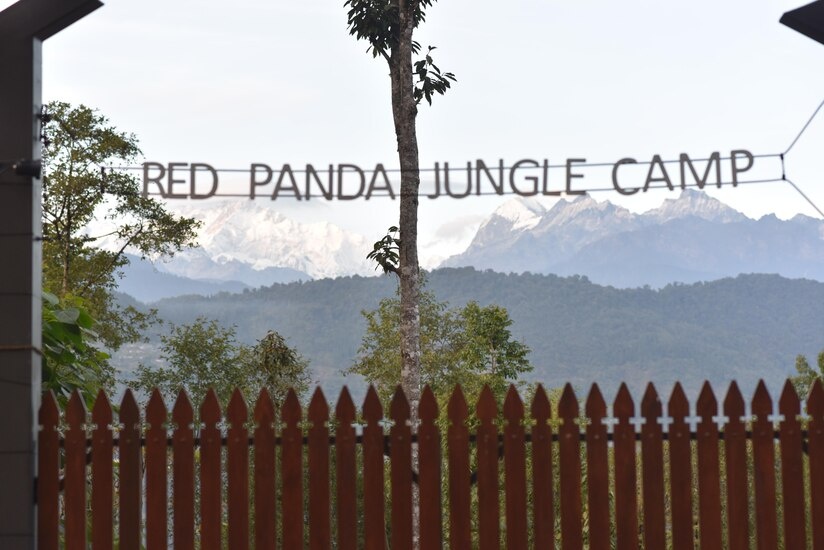 Red Panda Jungle Camp photo 1