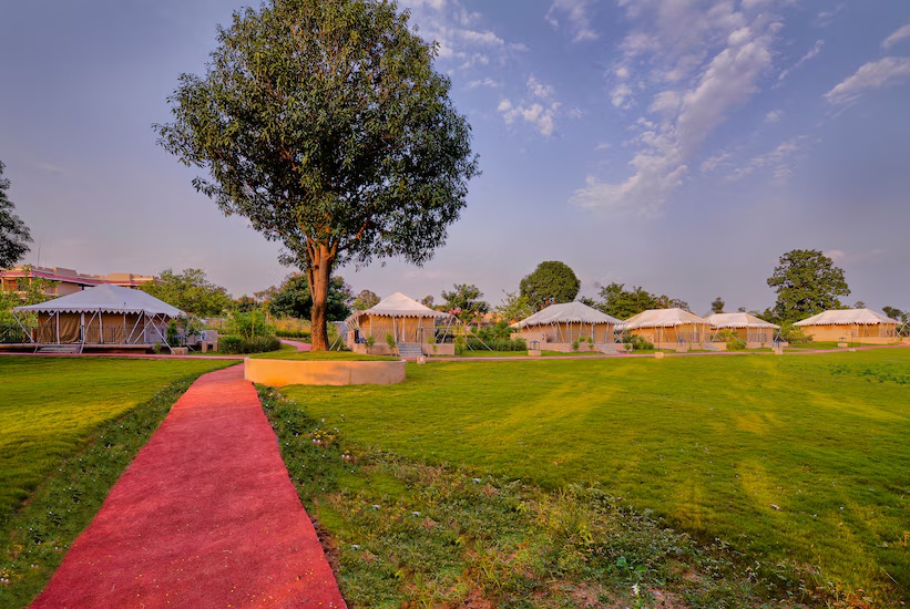 Sterling Kanha photo 10