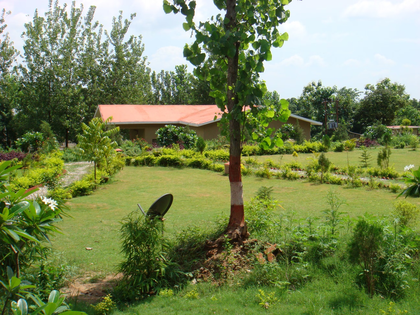 Click Resort, Corbett Tiger Den photo 4