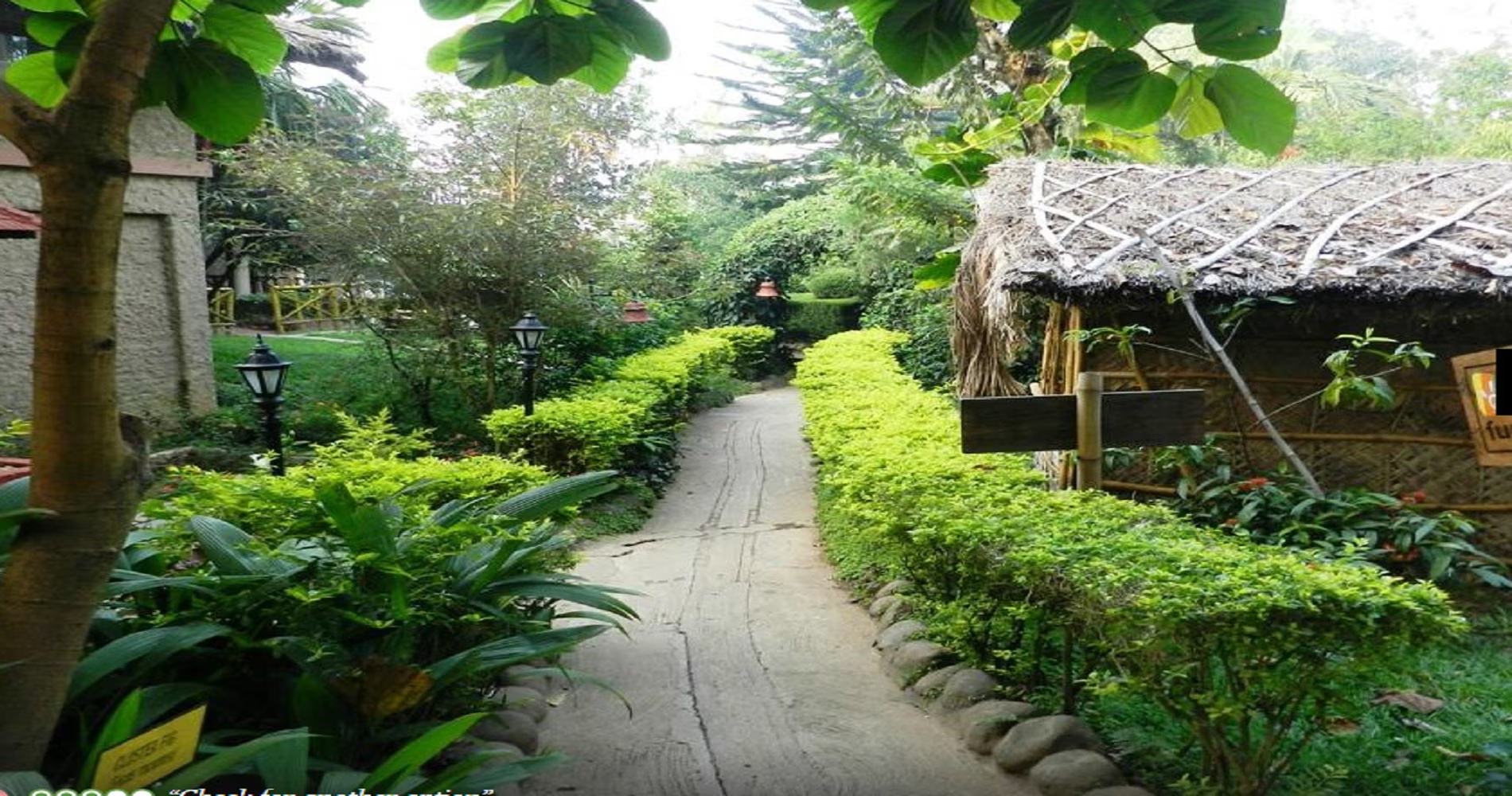 Club Mahindra Resort - Thekkady - Kerala photo 8
