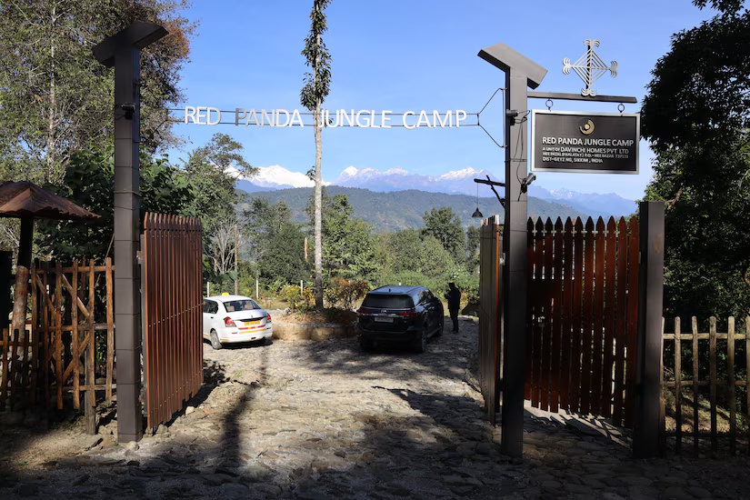 Red Panda Jungle Camp photo 6