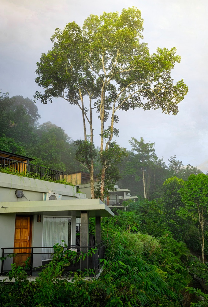 Maram Resort photo 6