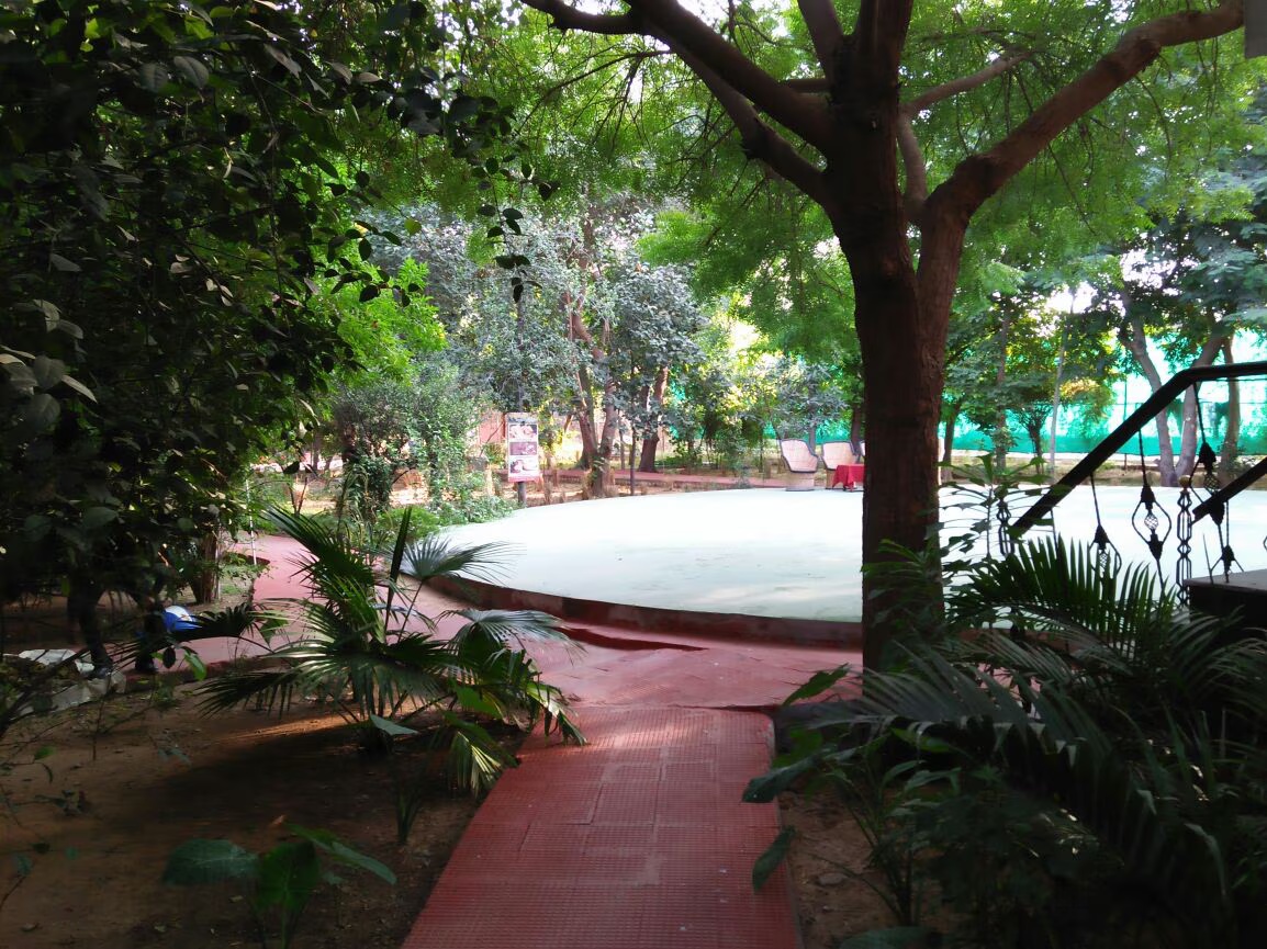 The Fern Ranthambhore Forest Resort, Sawai Madhopur, Rajasthan photo 5