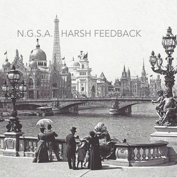 N.G.S.A. - HARSH FEEDBACK (MAY CONTAIN HARSH FREQUENCIES) 