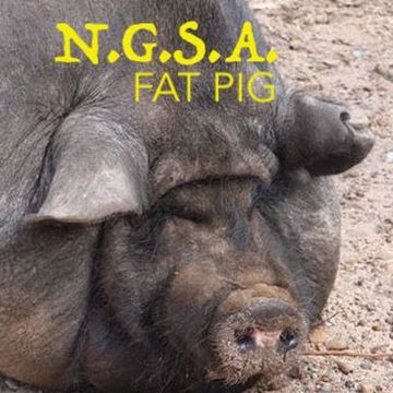 N.G.S.A. -  FAT PIG ( FREE 320 DOWNLOAD ) 