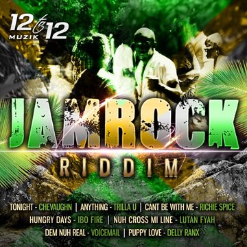 Jamrock Riddim EP Promo  Selecta Dubfire  