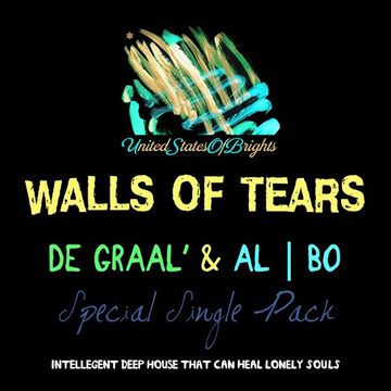 DE GRAAL' feat. al l bo - Walls Of Tears (original mix)