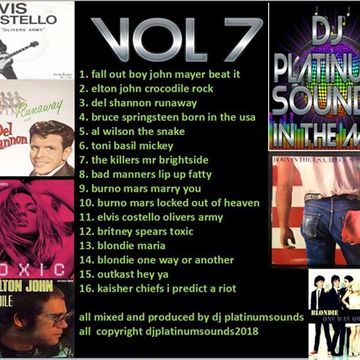 PLATINUM SOUNDS IN THE MIX  VOLUME 7 PARTY PRT 3