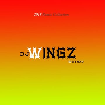 Tonight I'm Lovin' U DJ Wingz Remix 2018.